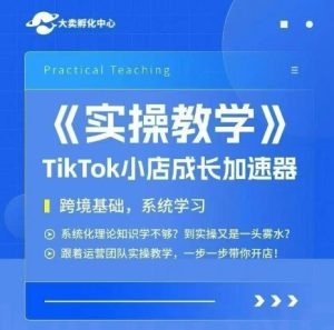 大卖家孵化中心TikTok实操课,TikTok小店成长加速器,跨境基础系统学习,一步一步带你开店-中创网_专注互联网创业,项目资源整合-心诚资源网