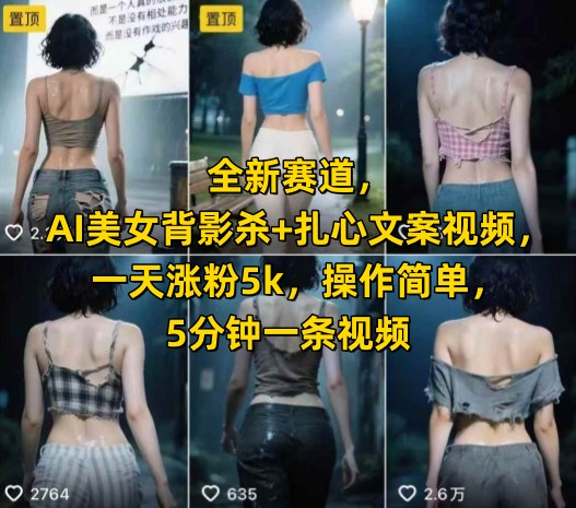 全新赛道，AI美女背影杀+扎心文案视频，一天涨粉5k，操作简单，5分钟一条视频-中创网_专注互联网创业,项目资源整合-心诚资源网