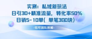实测私域新玩法日引30加精准流量转化率50%日销5-10单每笔3张-中创网_专注互联网创业,项目资源整合-心诚资源网