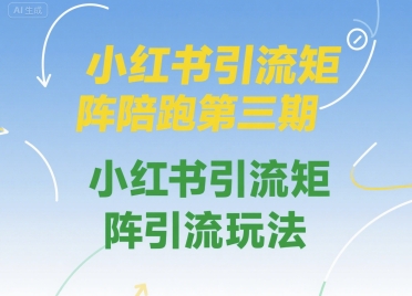 小红书引流矩阵陪跑第三期，小红书引流矩阵引流玩法-中创网_专注互联网创业,项目资源整合-心诚资源网