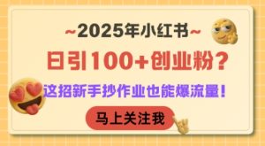 2025年小红书日引100+创业粉?这招新手抄作业也能爆流量!-中创网_专注互联网创业,项目资源整合-心诚资源网
