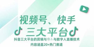 (15449期)视频号、快手、抖音三大平台的剪辑与数字人直播技术,内容涵盖20+热门赛道-中创网_专注互联网创业,项目资源整合-心诚资源网