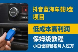 抖音蓝海车载U盘项目,低成本高利润保姆级教程,小白也能轻松月入过W-中创网_专注互联网创业,项目资源整合-心诚资源网