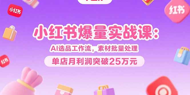 （15462期）小红书爆量实战课：AI选品工作流，素材批量处理，单店月利润突破25万元-中创网_专注互联网创业,项目资源整合-心诚资源网