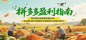 拼多多盈利指南：强付费玩法挖掘流量红利，活动爆流技术搭配微付费方案实现盈利跃升-中创网_专注互联网创业,项目资源整合-心诚资源网