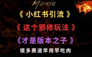 最近小红书引流这个邪修玩法才是版本之子,很多赛道早用早吃肉-中创网_专注互联网创业,项目资源整合-心诚资源网