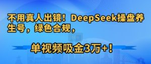 不用真人出镜!DeepSeek操盘养生号,绿色合规,单视频吸金3W+!-中创网_专注互联网创业,项目资源整合-心诚资源网