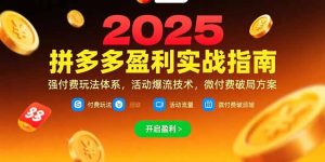 (15357期)拼多多盈利实战指南,强付费玩法,活动爆流技术,微付费破局方案(更新7月)-中创网_专注互联网创业,项目资源整合-心诚资源网