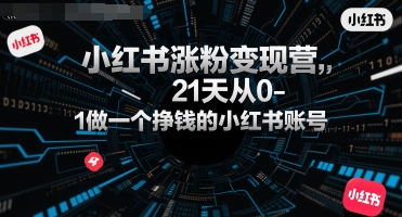 小红书涨粉变现营，21天从0-1做一个挣钱的小红书账号-中创网_专注互联网创业,项目资源整合-心诚资源网