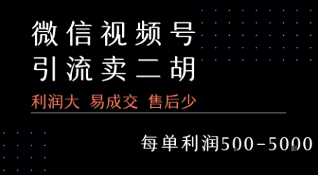 视频号卖二胡教程，利润大 易成交 售后少，一单利润5张+-中创网_专注互联网创业,项目资源整合-心诚资源网
