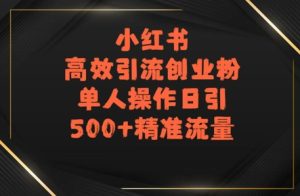 小红书高效引流创业粉，单人操作日引500+精准流量-中创网_专注互联网创业,项目资源整合-心诚资源网