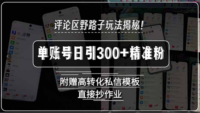 （15466期）评论区野路子玩法揭秘！单账号日引300+精准粉，附赠高转化私信模板，直…-中创网_专注互联网创业,项目资源整合-心诚资源网