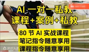 AI指令实战课,课程+案例,80节AI实战课程,笔记指令随意享用,课程指令随意享用(更新7月)-中创网_专注互联网创业,项目资源整合-心诚资源网