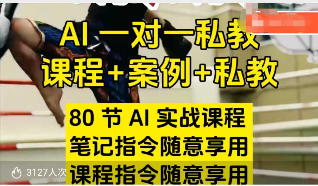 AI指令实战课，课程+案例，80节AI实战课程，笔记指令随意享用，课程指令随意享用（更新7月）-中创网_专注互联网创业,项目资源整合-心诚资源网