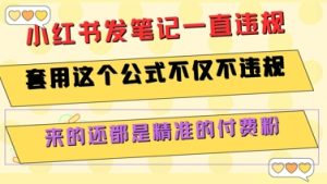 小红书发笔记一直违规，套用这个公式不仅不违规，来的还都是精准的付费粉-中创网_专注互联网创业,项目资源整合-心诚资源网