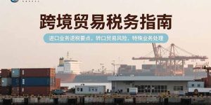 （15381期）跨境贸易税务指南，进口业务退税要点，转口贸易风险，特殊业务处理-中创网_专注互联网创业,项目资源整合-心诚资源网