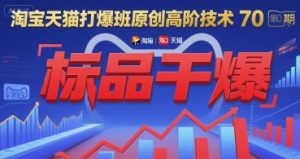 淘宝天猫打爆班原创高阶技术第70期:标品干爆-中创网_专注互联网创业,项目资源整合-心诚资源网