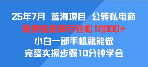 25年7月蓝海项目，公转私电商，随便做做单月轻松1w，小白一部手机就能做，完整实操步骤10分钟学会-中创网_专注互联网创业,项目资源整合-心诚资源网