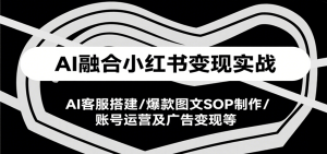 AI融合小红书变现实战课,AI客服搭建/爆款图文SOP制作/账号运营及广告变现等-中创网_专注互联网创业,项目资源整合-心诚资源网