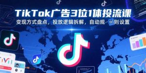 （15460期）TikTok广告3位1体投流课，变现方式盘点，投放逻辑拆解，自动规则设置-中创网_专注互联网创业,项目资源整合-心诚资源网