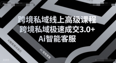 跨境私域线上高级课程，跨境私域极速成交3.0+Ai智能客服-中创网_专注互联网创业,项目资源整合-心诚资源网