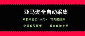 亚马逊全自动采集,单机单窗口一天10+,可无限矩阵去做-中创网_专注互联网创业,项目资源整合-心诚资源网