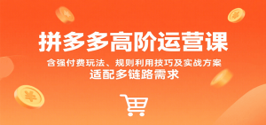 拼多多高阶运营课，含强付费玩法、规则利用技巧及实战方案，适配多链路需求-中创网_专注互联网创业,项目资源整合-心诚资源网