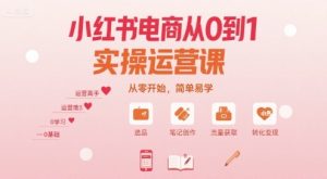 小红书电商从0到1实操运营课，从零开始，简单易学-中创网_专注互联网创业,项目资源整合-心诚资源网