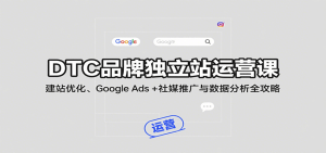 DTC品牌独立站运营课:建站优化、Google Ads + 社媒推广与数据分析全攻略-中创网_专注互联网创业,项目资源整合-心诚资源网