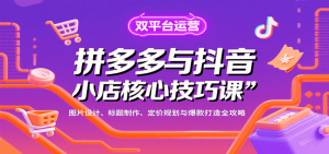 拼多多与抖音小店核心技巧课,图片设计、标题制作、定价规划与爆款打造全攻略-中创网_专注互联网创业,项目资源整合-心诚资源网