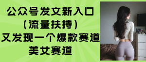 (15781期)公众号发文新入口(流量扶持),又发现一个爆款赛道:美女赛道-中创网_专注互联网创业,项目资源整合-心诚资源网