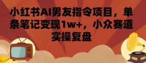 小红书AI男友指令项目,单条笔记变现1w+,小众赛道实操复盘-中创网_专注互联网创业,项目资源整合-心诚资源网