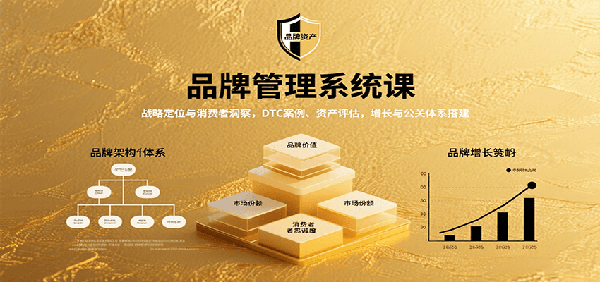 品牌管理系统课：战略定位与消费者洞察，DTC案例、资产评估，增长与公关体系搭建-中创网_专注互联网创业,项目资源整合-心诚资源网