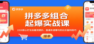拼多多组合起爆实战课:15大核心打法含截流提价、直通车速爆与防比价盈利技巧-中创网_专注互联网创业,项目资源整合-心诚资源网