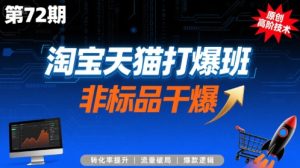 淘宝天猫打爆班原创高阶技术第72期,非标品干爆-中创网_专注互联网创业,项目资源整合-心诚资源网