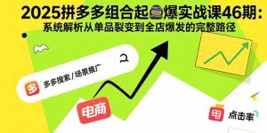 (15816期)2025拼多多组合起爆实战课46期:系统解析从单品裂变到全店爆发的完整路径-中创网_专注互联网创业,项目资源整合-心诚资源网