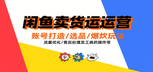 闲鱼卖货运营,账号打造/选品/爆款玩法/流量优化/售后处理及工具实操等-中创网_专注互联网创业,项目资源整合-心诚资源网