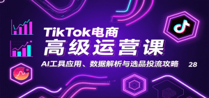 TikTok电商高级运营课：AI工具应用、数据解析与选品投流攻略-中创网_专注互联网创业,项目资源整合-心诚资源网