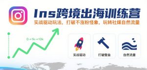Ins跨境出海训练营,实战驱动玩法,打破不涨粉怪象,玩转社媒自然流量-中创网_专注互联网创业,项目资源整合-心诚资源网