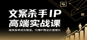 文案杀手IP高端实战课：破高客单成交壁垒，引爆IP商业价值增长-中创网_专注互联网创业,项目资源整合-心诚资源网