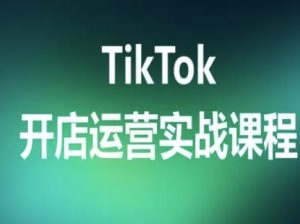 TikTok开店运营实战课程，TK跨境电商实操全流程-中创网_专注互联网创业,项目资源整合-心诚资源网