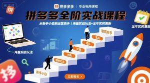 拼多多全阶实战课程，从新手小白到运营高手，海量实战玩法+全年实时更新【2025年9月更新】-中创网_专注互联网创业,项目资源整合-心诚资源网