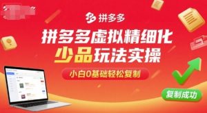 拼多多虚拟精细化少品玩法实操，小白0基础轻松复制-中创网_专注互联网创业,项目资源整合-心诚资源网