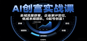 AI创富实战课：企业家IP定位，全域流量获客，低成本组团队，0起号创富！-中创网_专注互联网创业,项目资源整合-心诚资源网