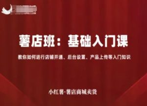 小红薯薯店商城卖货,基础入门课,教你如何进行店铺开通、后台设置、产品上传等入门知识-中创网_专注互联网创业,项目资源整合-心诚资源网