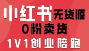 小红书无货源0粉电商课,开店准备、选品策略、笔记撰写、视频剪辑、数据分析、账号打造、资料文档-中创网-专注创业项目分享_资源整合-心诚资源网