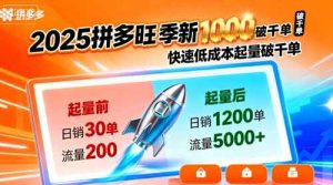 2025拼多多旺季新老店铺——快速低成本起量破千单-中创网-专注创业项目分享_资源整合-心诚资源网