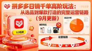 （16100期）拼多多日销千单高阶玩法：从选品到爆款打造的完整运营链路（9月更新）-中创网-专注创业项目分享_资源整合-心诚资源网