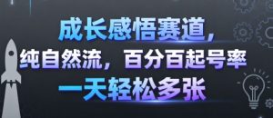 成长感悟赛道，纯自然流，百分百起号率 一天轻松多张-中创网_专注互联网创业,项目资源整合-心诚资源网
