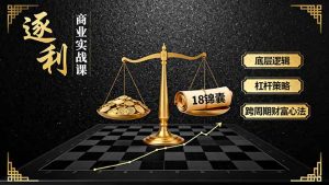 （16046期）《逐 利》商业实战课，底层逻辑、杠杆策略、18锦囊，跨周期财富心法-中创网-专注创业项目分享_资源整合-心诚资源网